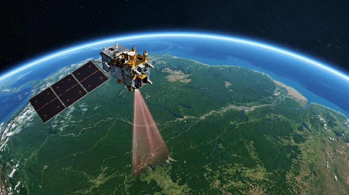 How to Use Copernicus Satellite Data for EUDR Due Diligence